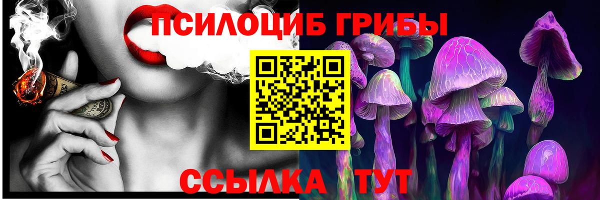 Галлюциногенные грибы Cubensis Кстово