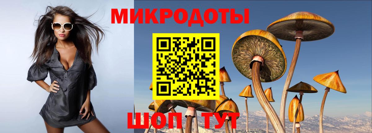 Псилоцибиновые грибы Кстово